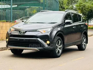 Toyota RAV4 2019 Gray