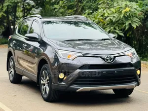 Toyota RAV4 2019 Gray