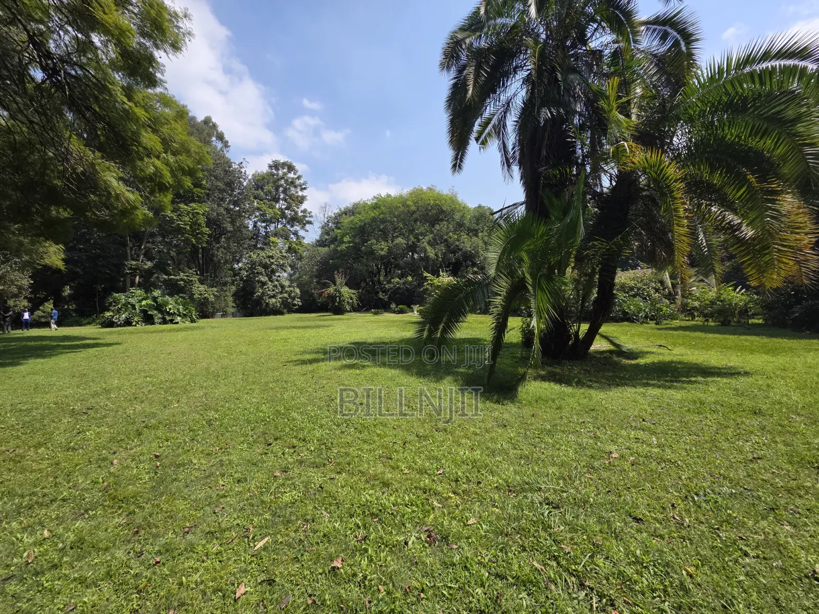 Prime 1.25 Acre Parcel in Old Kitisuru.