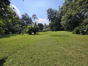 Prime 1.25 Acre Parcel in Old Kitisuru.