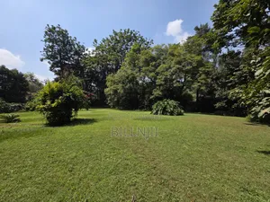 Prime 1.25 Acre Parcel in Old Kitisuru.