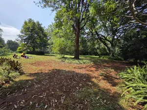 Prime 1.25 Acre Parcel in Old Kitisuru.