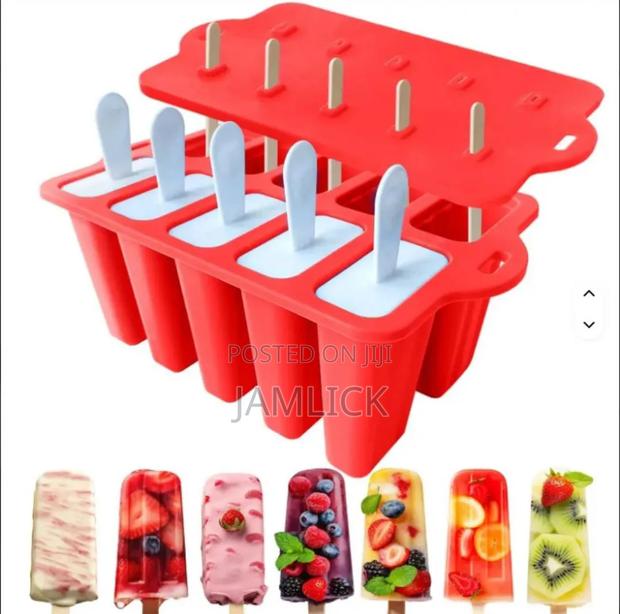 6pcs Reusable Plastic Ice Moulds - Gl