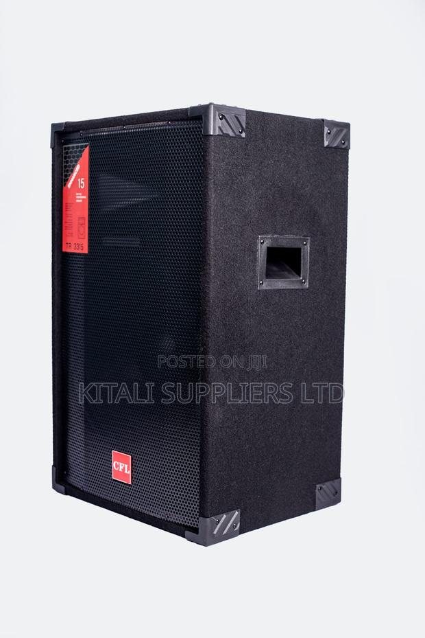 Trill CFL 15" Professional Full Range Audio Speaker