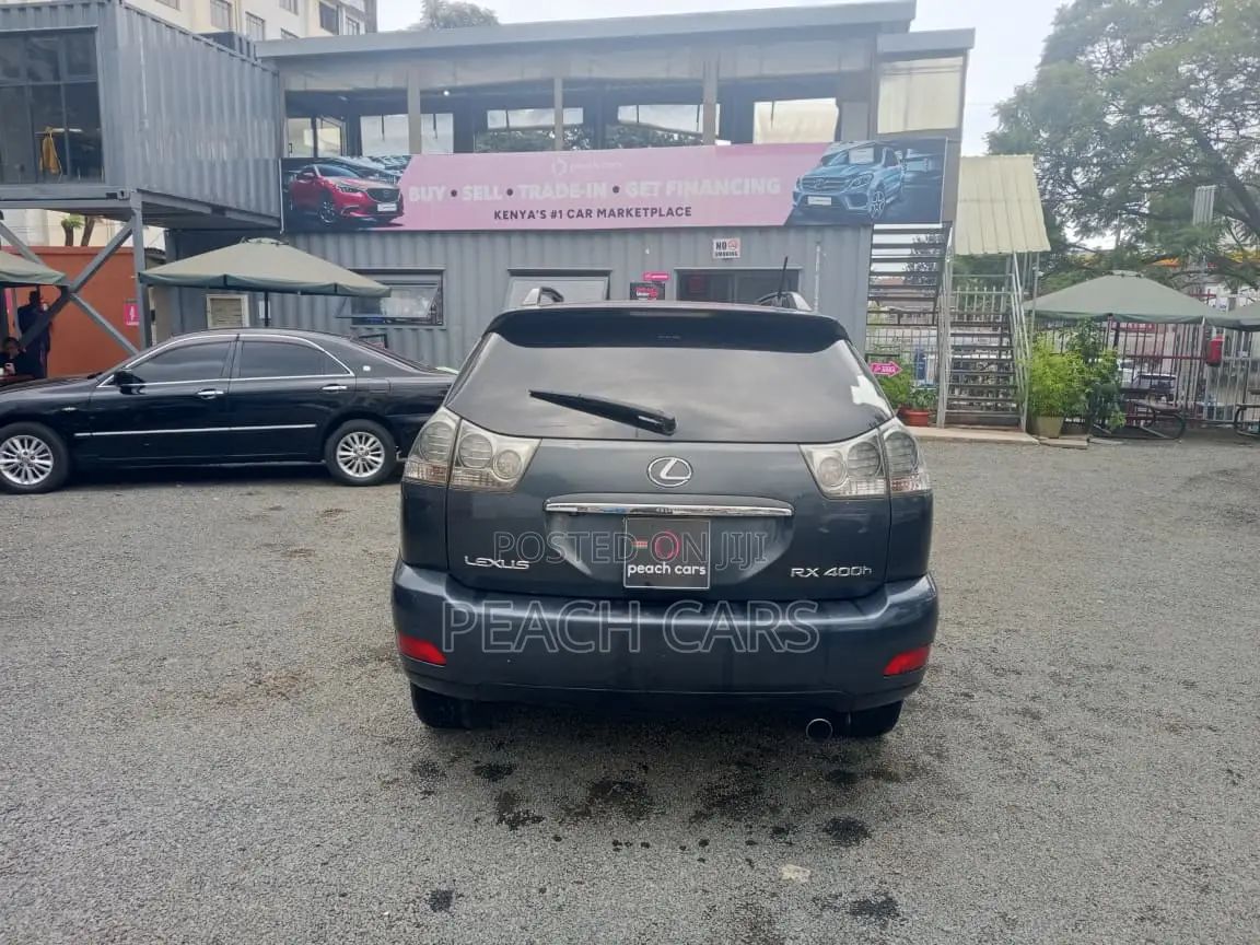 Lexus RX 2005 Gray