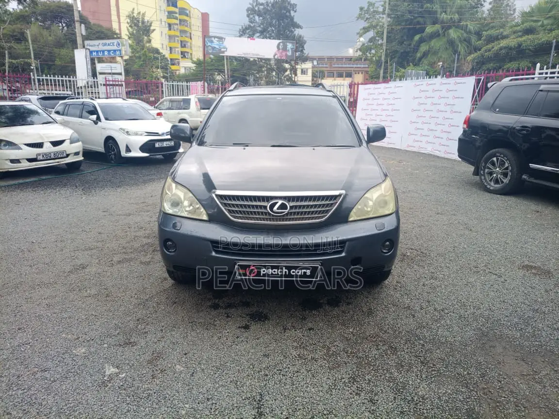 Lexus RX 2005 Gray