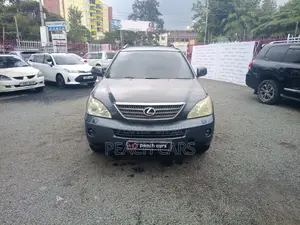 Lexus RX 2005 Gray