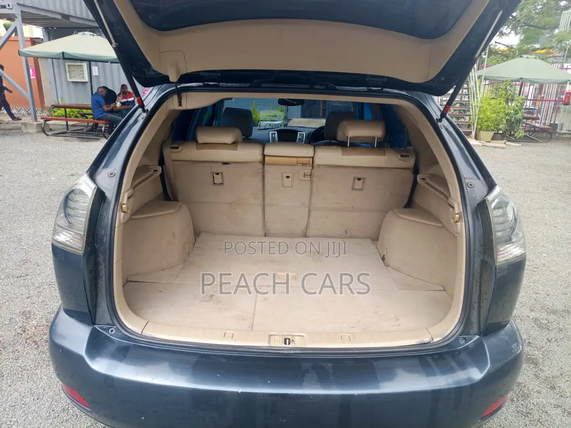 Lexus RX 2005 Gray