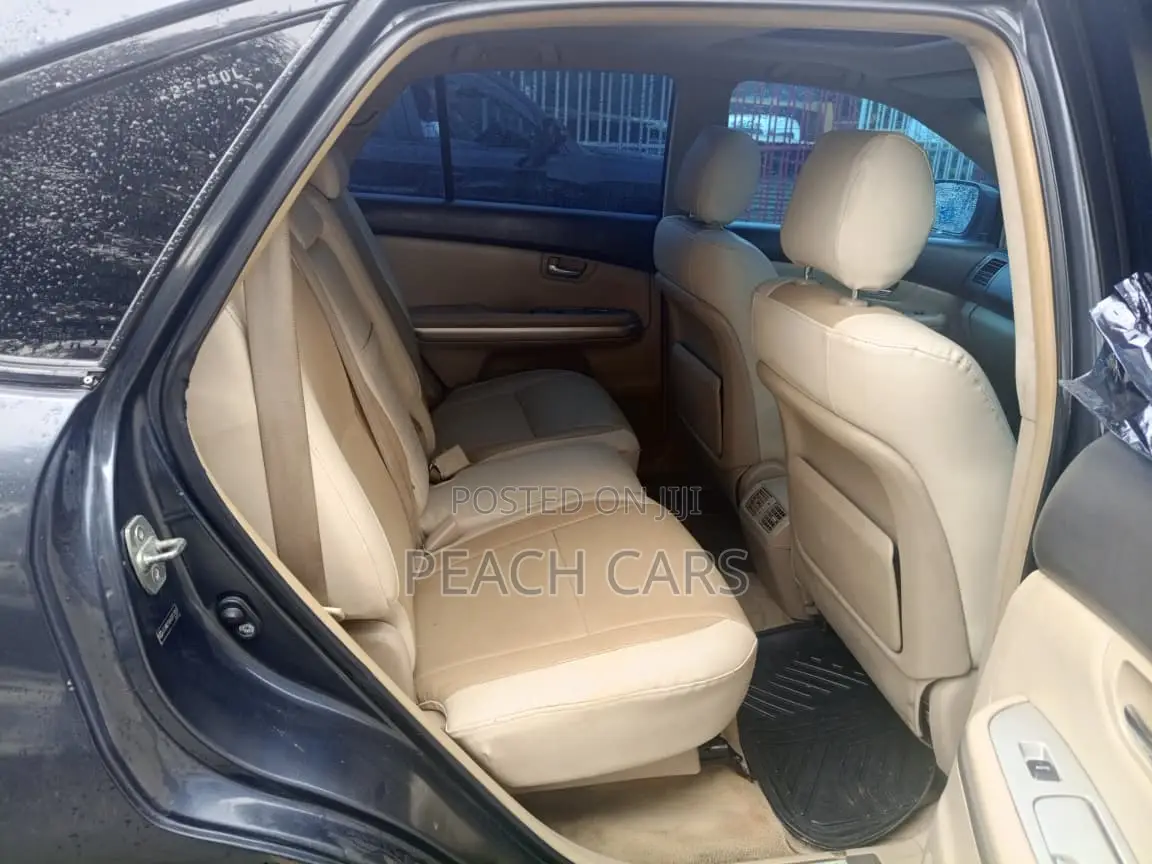 Lexus RX 2005 Gray