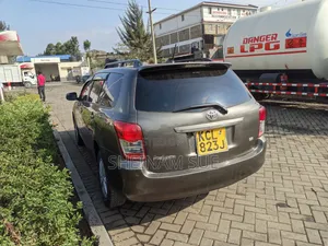 Toyota Corolla Fielder 2009 Gray