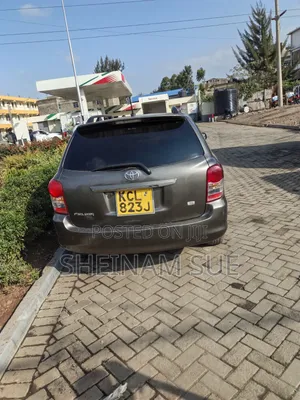 Toyota Corolla Fielder 2009 Gray