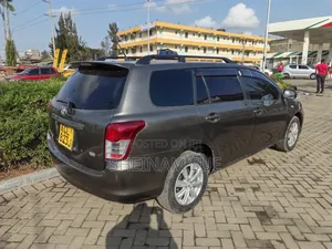 Toyota Corolla Fielder 2009 Gray