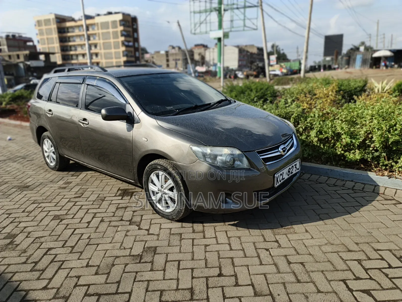 Toyota Corolla Fielder 2009 Gray