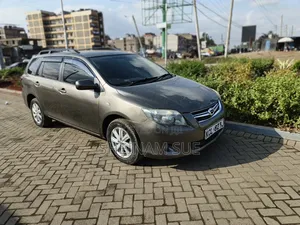 Toyota Corolla Fielder 2009 Gray