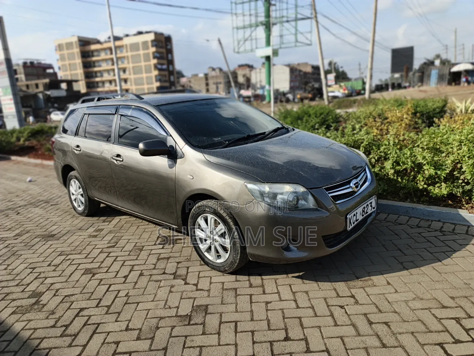 Toyota Corolla Fielder 2009 Gray