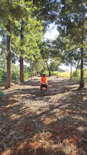 Motorcycle 2026 Orange