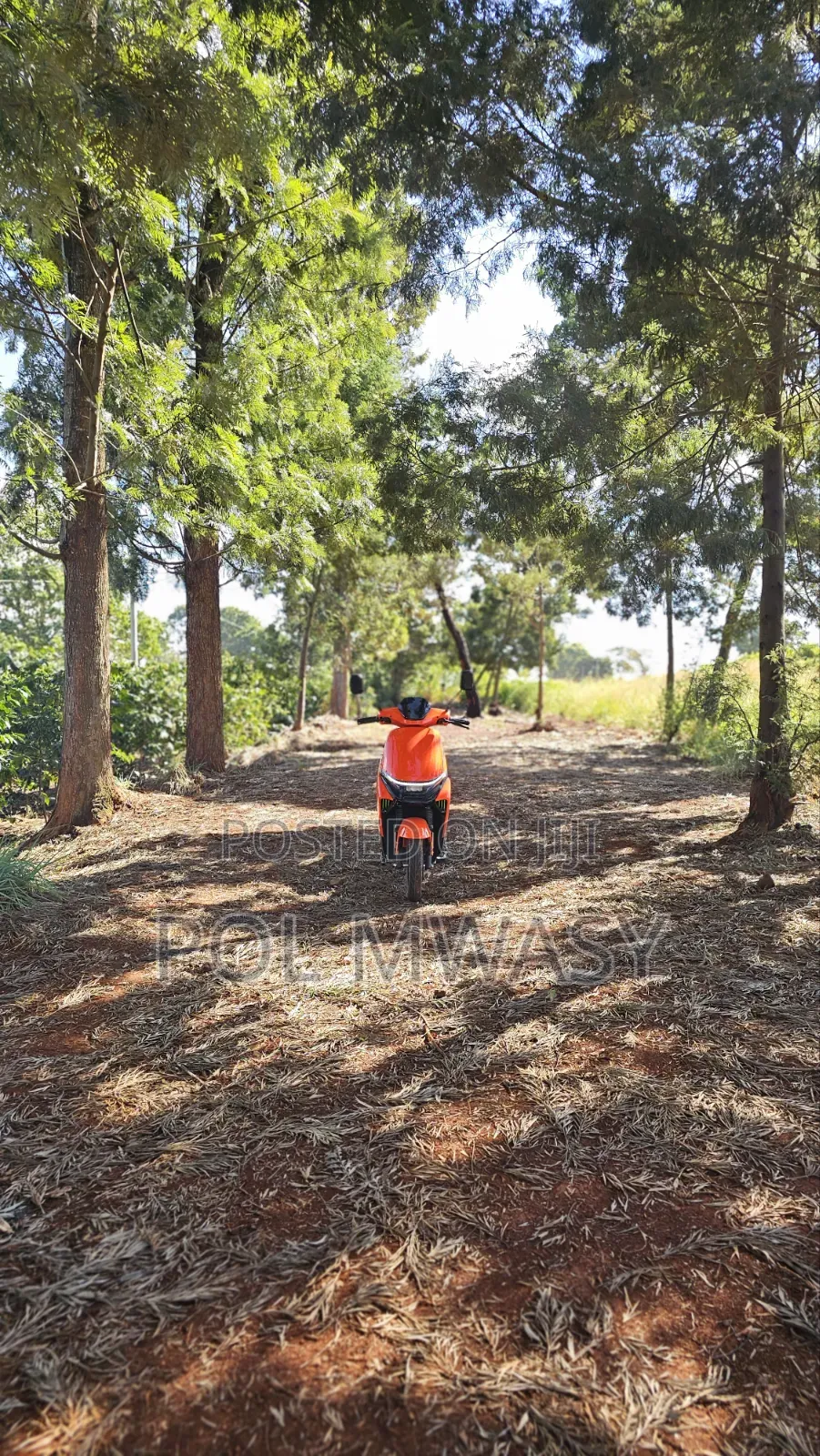 Motorcycle 2026 Orange