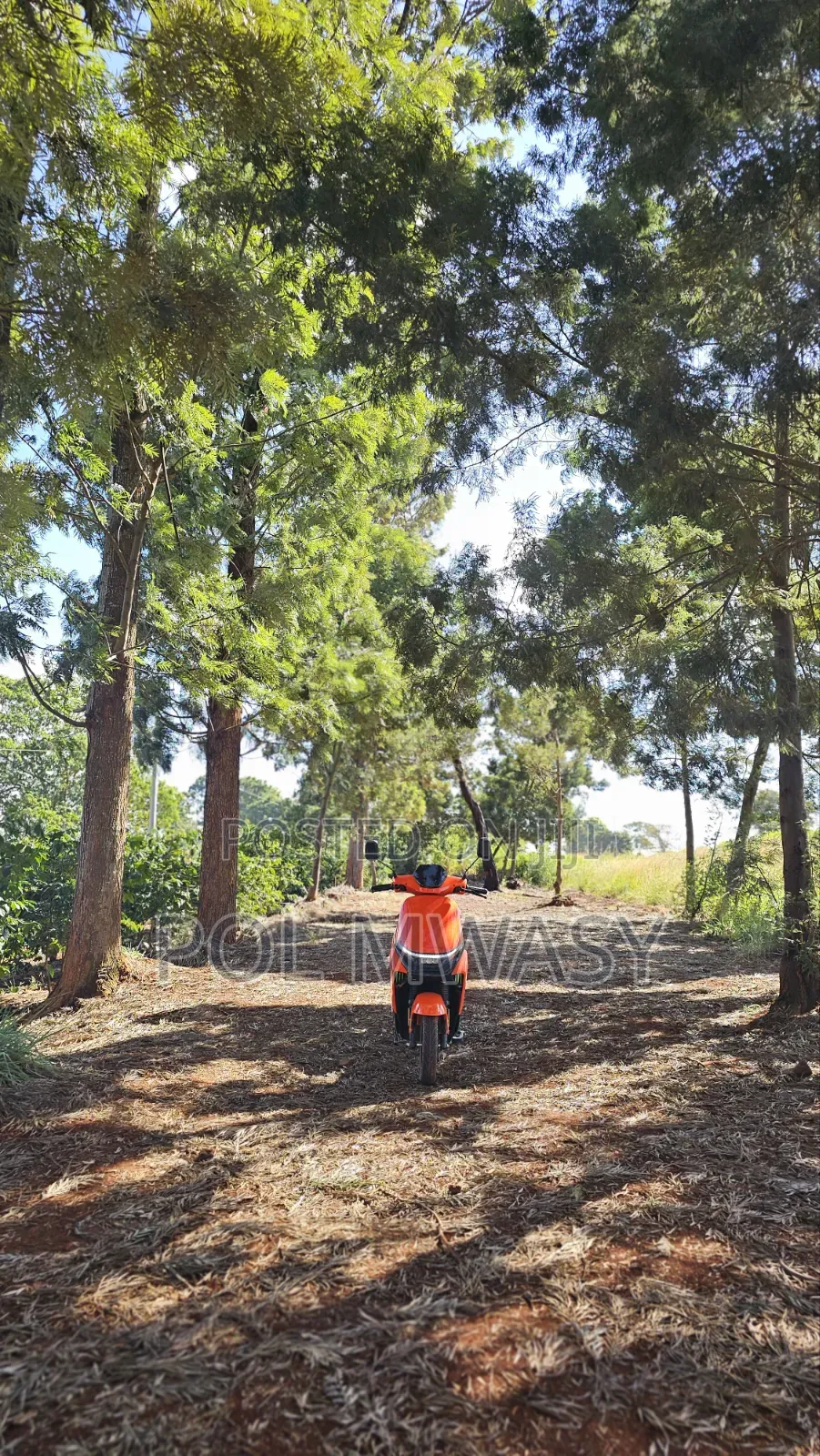 Motorcycle 2026 Orange