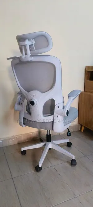 Ergonomic Office Chair