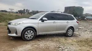 Toyota Corolla Fielder 2019 Silver