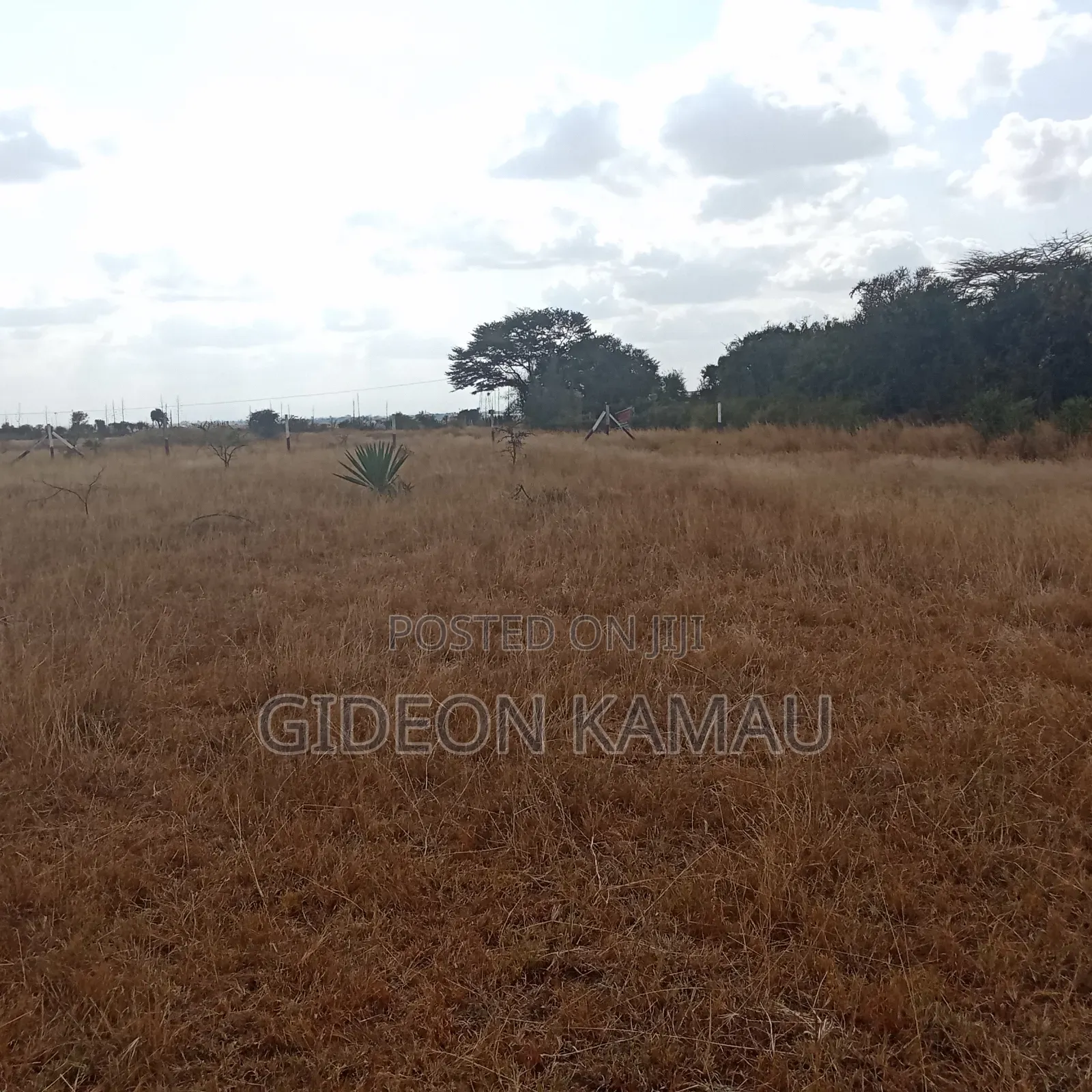 Malaa Plots for Sale