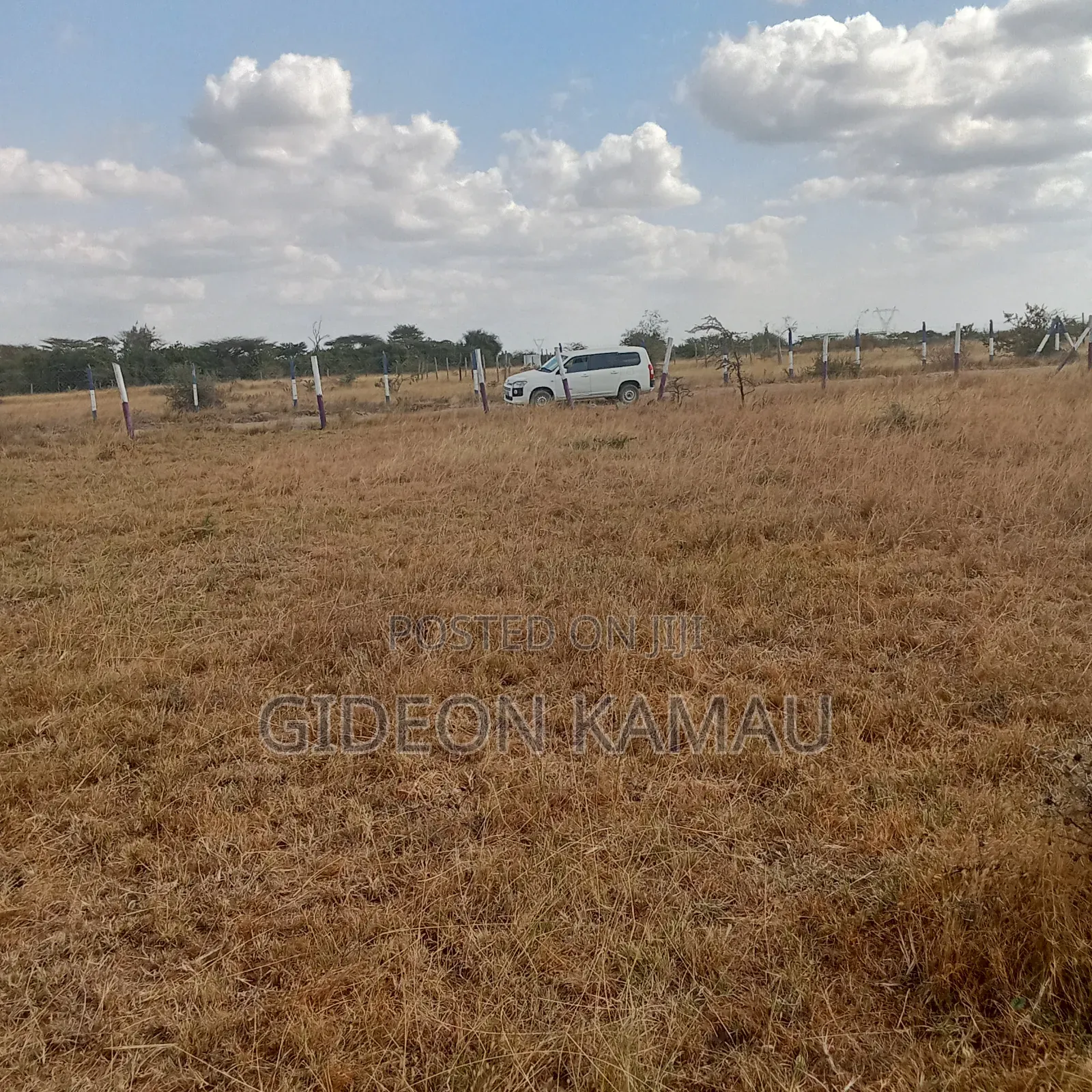 Malaa Plots for Sale