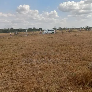 Malaa Plots for Sale