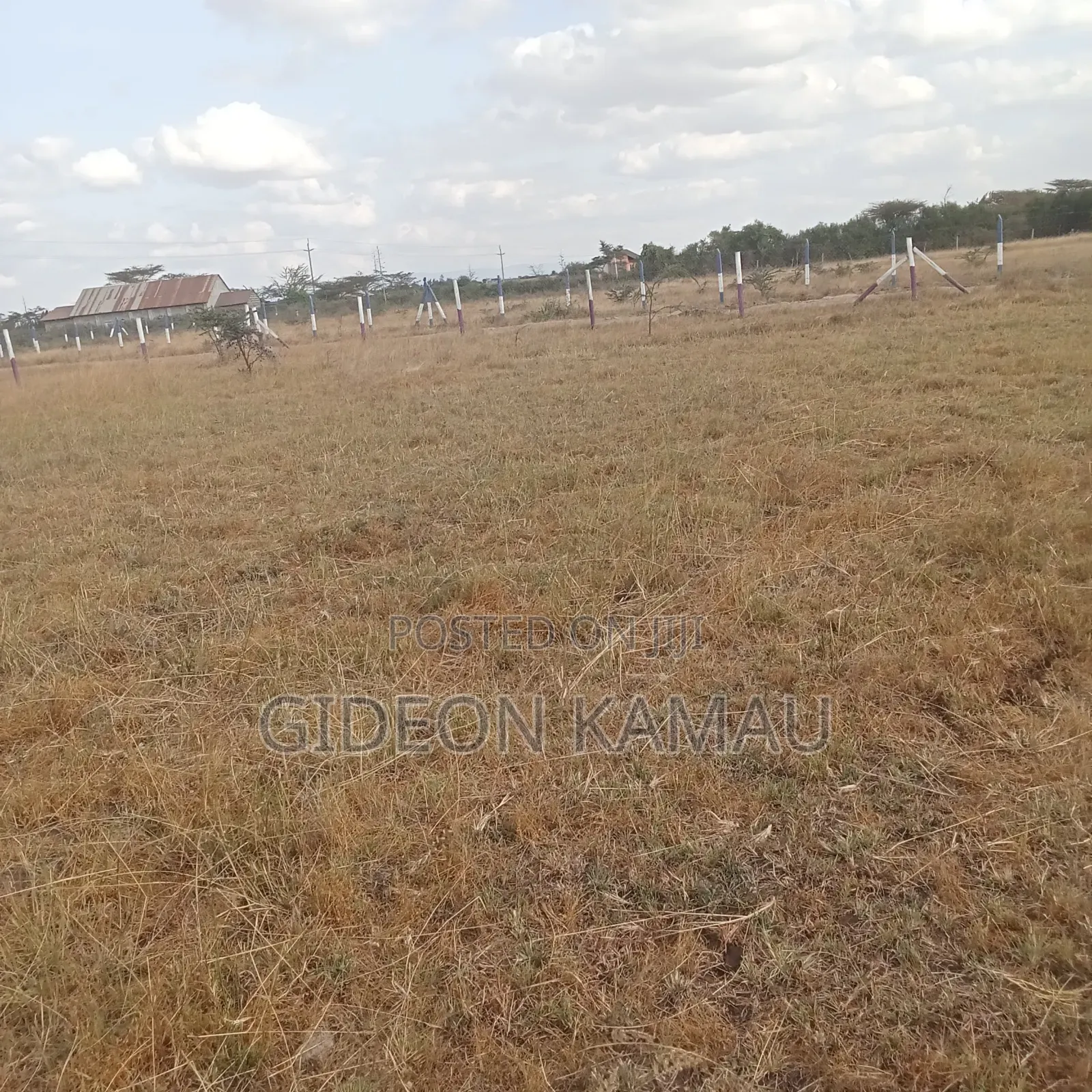 Malaa Plots for Sale