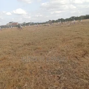 Malaa Plots for Sale