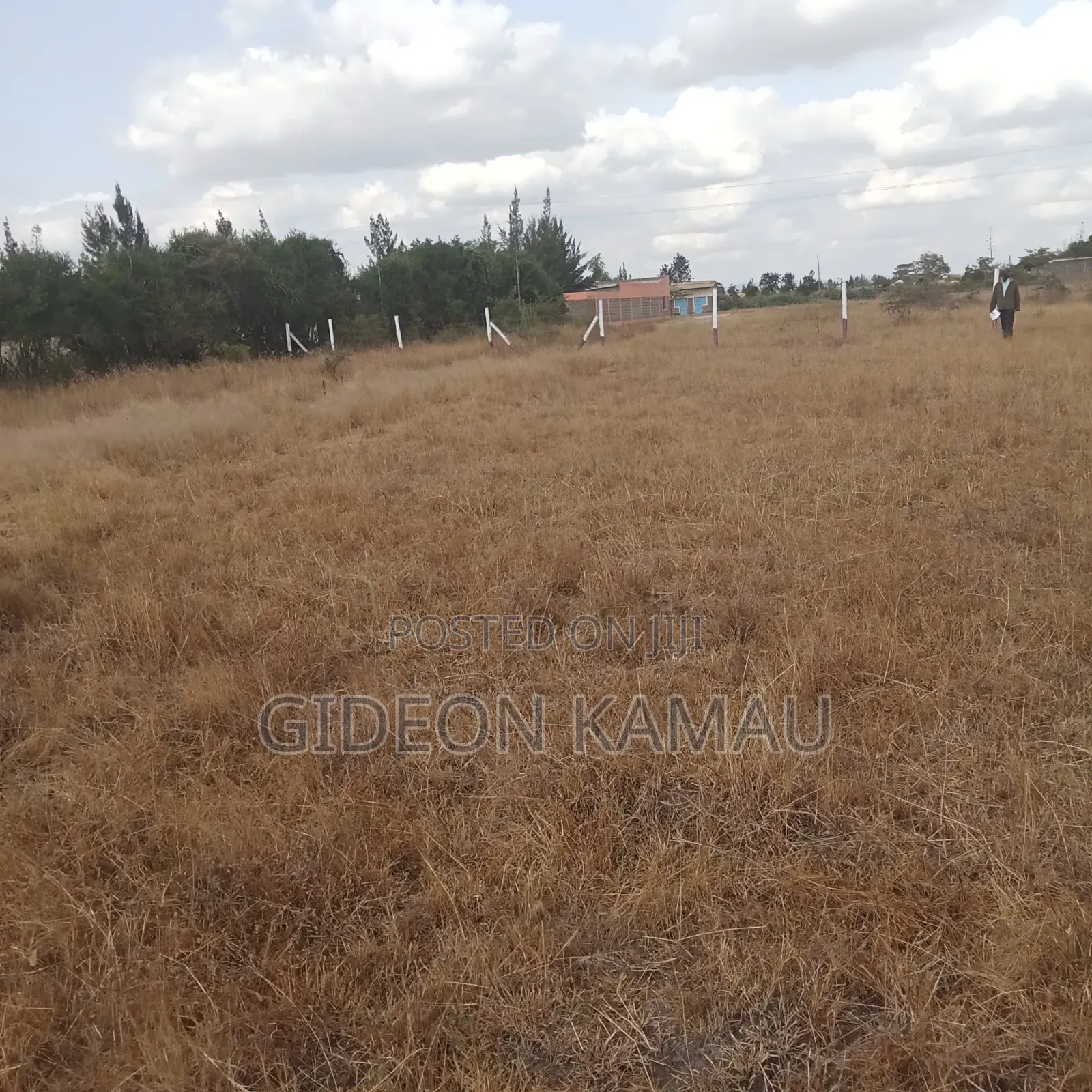 Malaa Plots for Sale