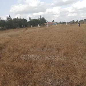 Malaa Plots for Sale