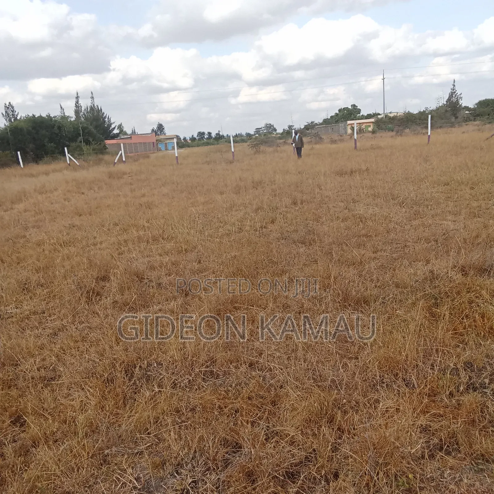 Malaa Plots for Sale