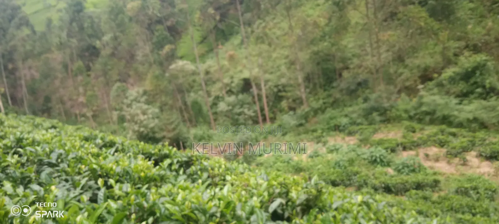 Farming Land and Resident