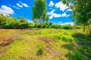 Plot For Sale In Limuru, Ndeiya Makutano.