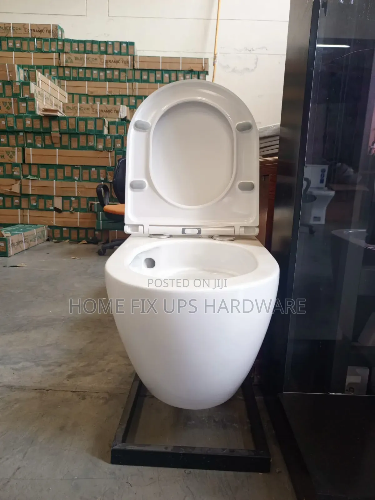Wallhung Toilet