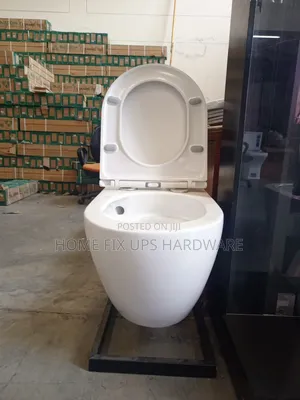 Wallhung Toilet