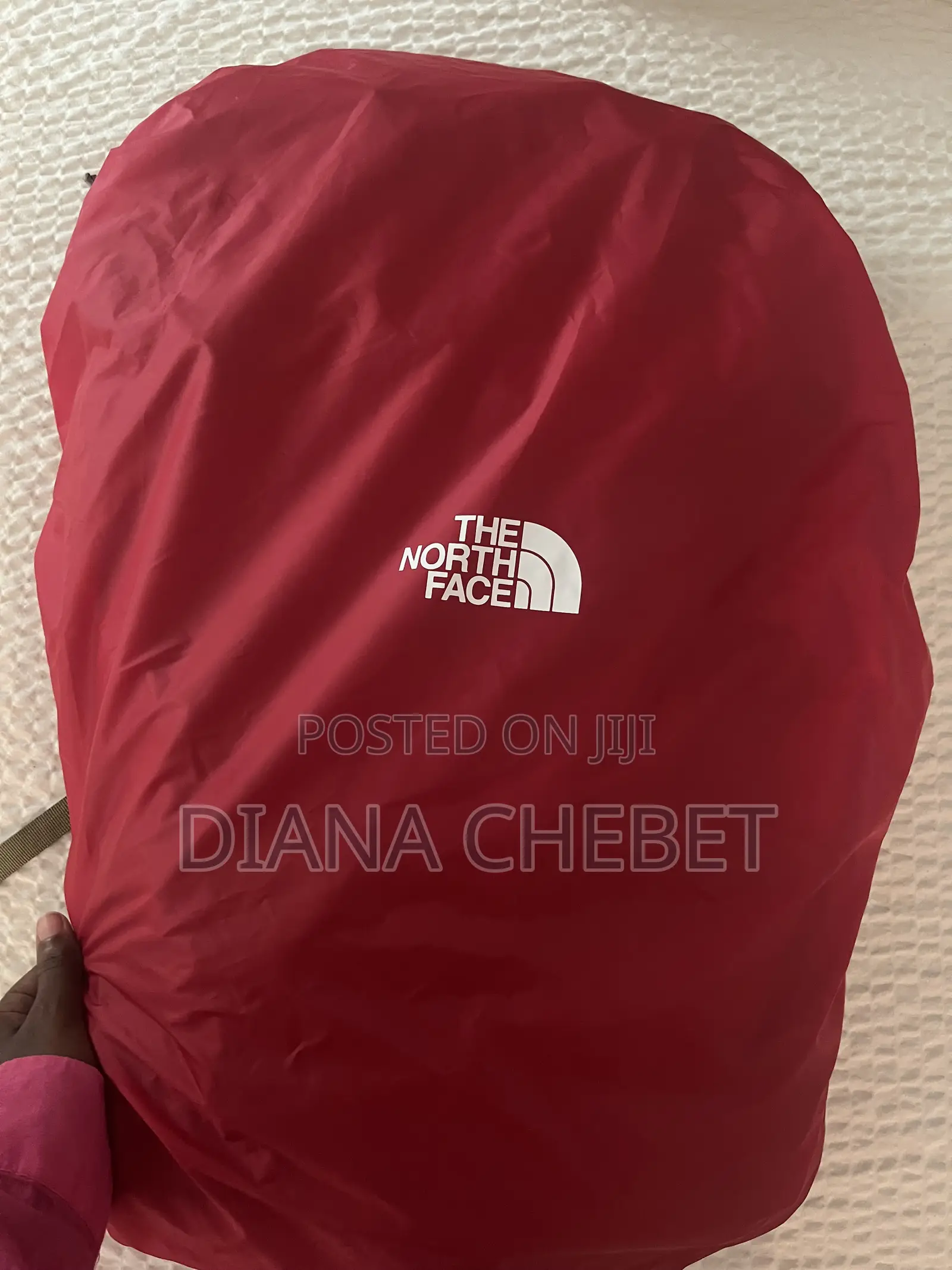 Backpacking Bag