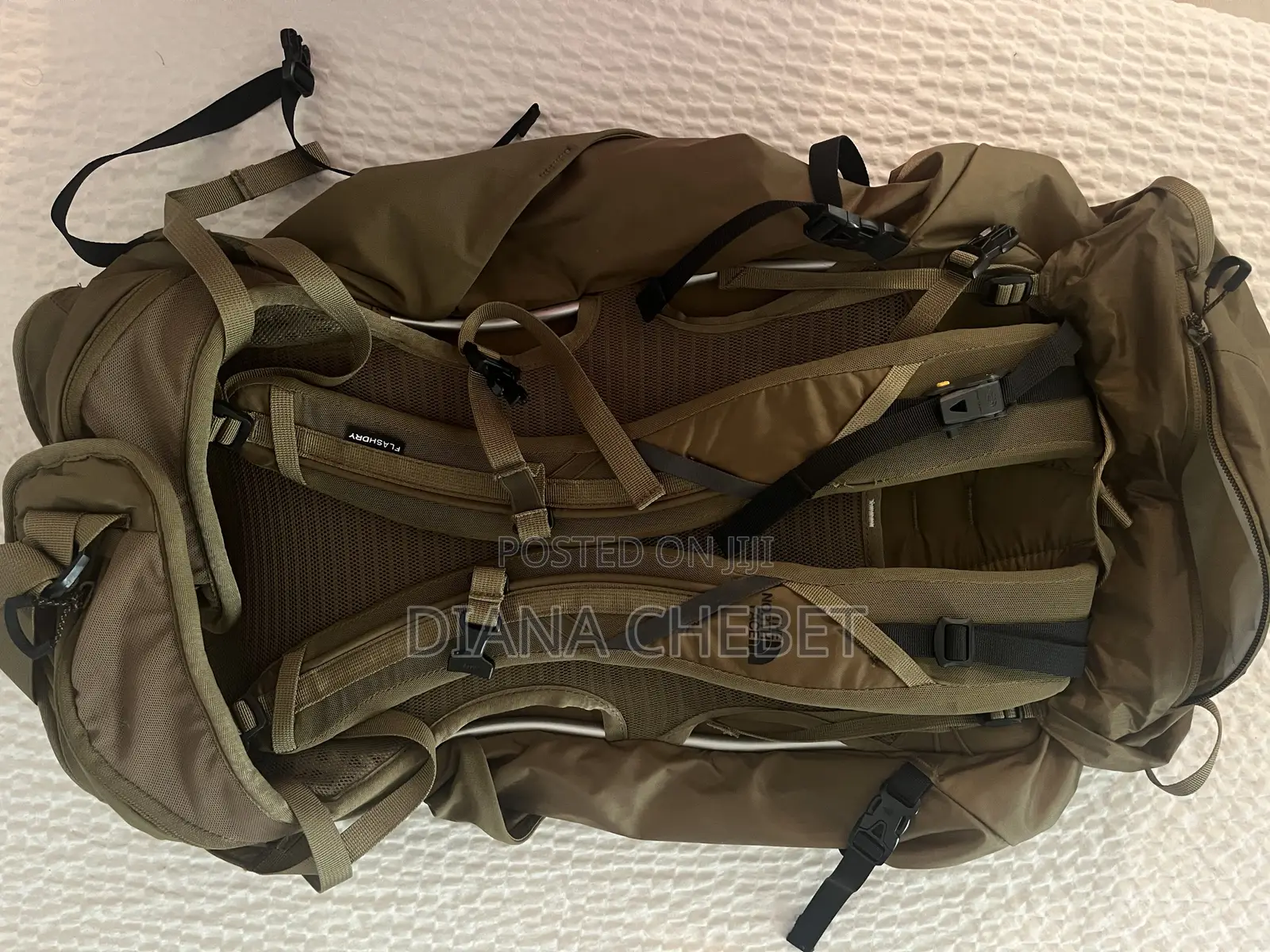 Backpacking Bag