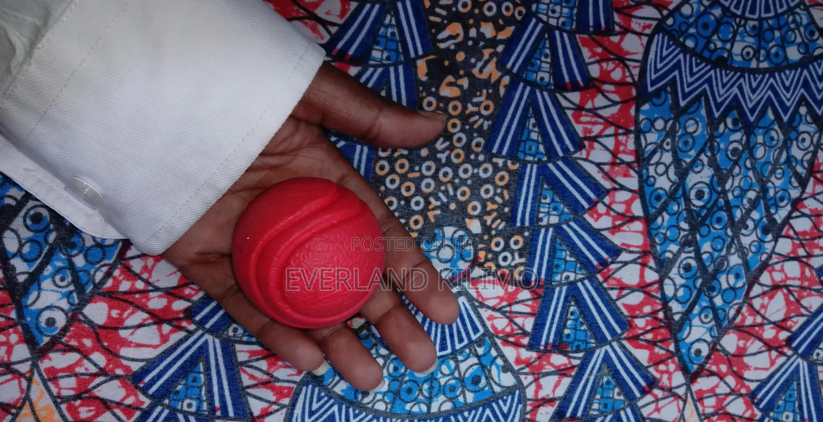 Fetch Ball Toy for Dogs
