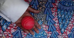 Fetch Ball Toy for Dogs