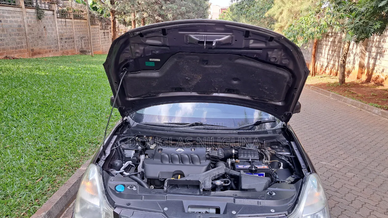 Nissan Sylphy 2007 Brown