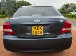 Toyota Axio 2010 Gray