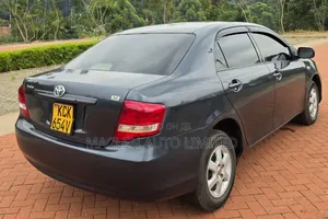 Toyota Axio 2010 Gray