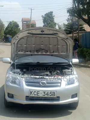 Toyota Axio 2008 Silver