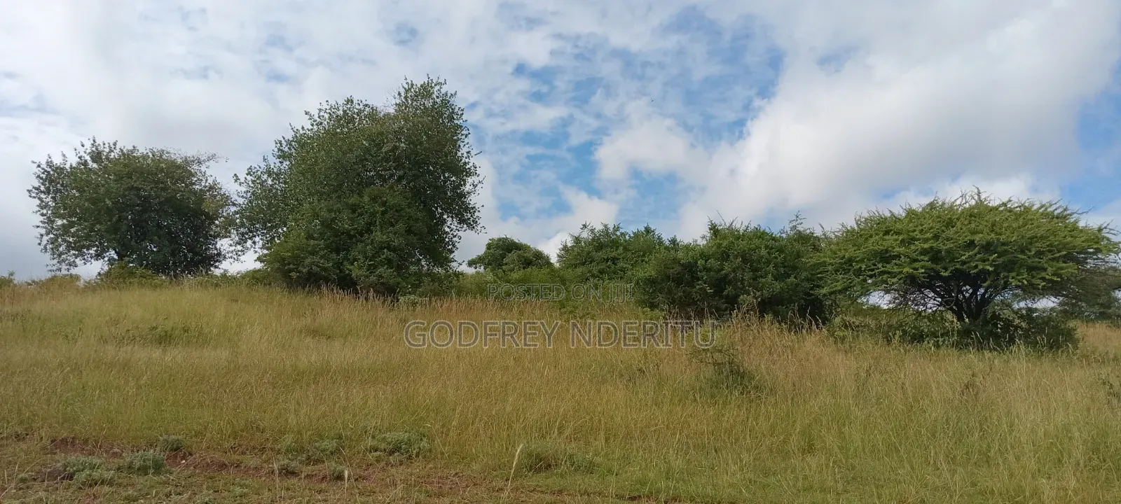 22.5 Acres in Thika