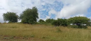 22.5 Acres in Thika
