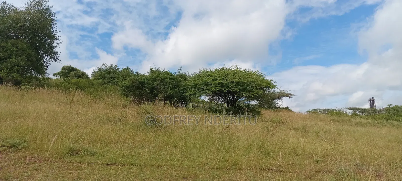 22.5 Acres in Thika