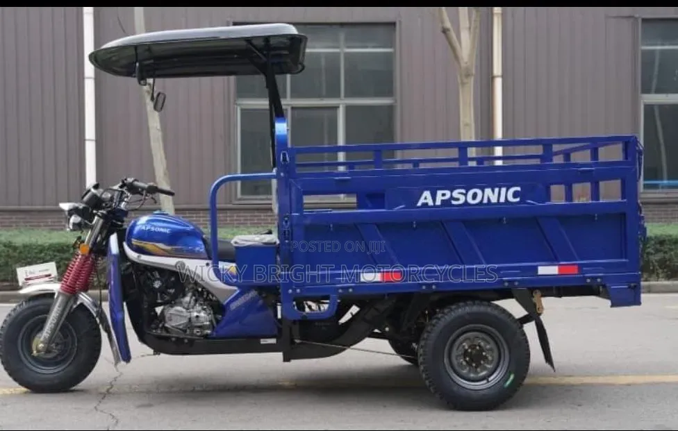 New Apsonic AP250 PRO 2026 Blue