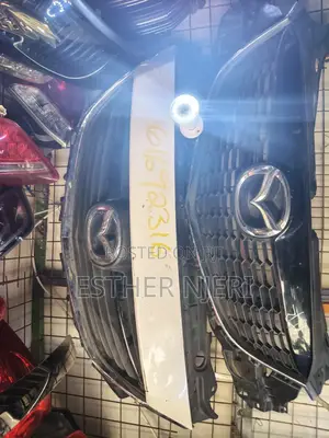 Prado 250 Headlights