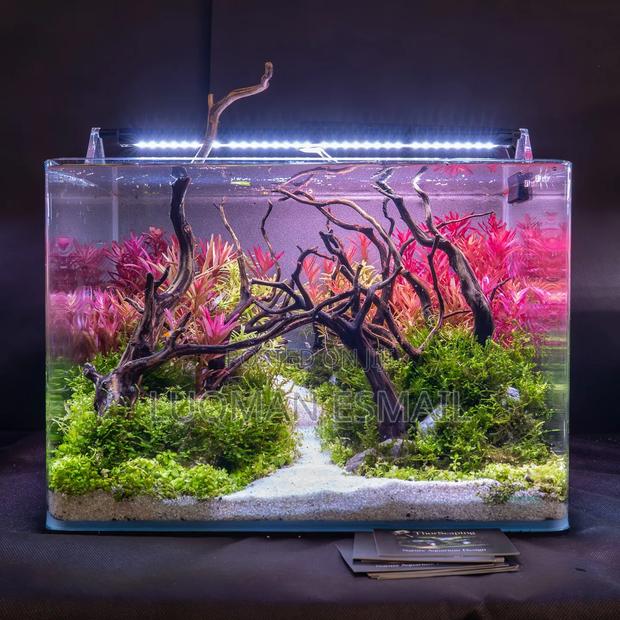 Aquarium for Rsale - main view